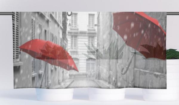 Rain, Cafehaus Collection